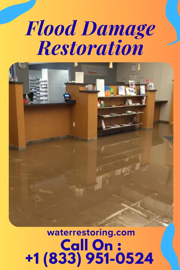 Flood Damage Restoration in Red Oaks Mill, NY