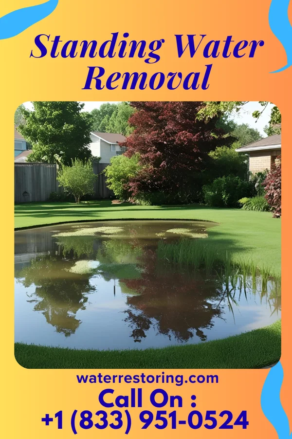 Standing Water Removal in Red Oaks Mill, NY